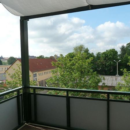 Fewo Dresden-Trachau Buitenkant foto
